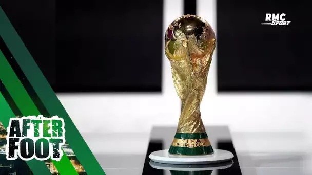 "Cela restera une Coupe du monde marquée sous le sceau de la honte" lance Guy