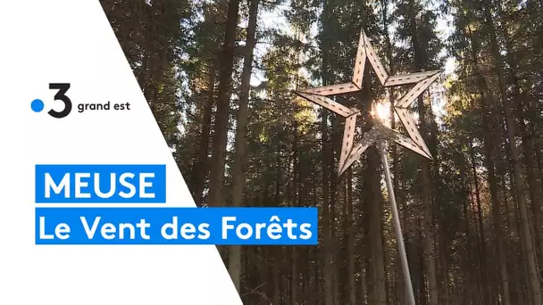 Balade et culture : le Vent des Forêts en Meuse