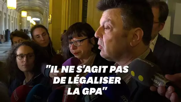 Le couple Mennesson "scandalisé" par le revote de l'amendement sur la GPA