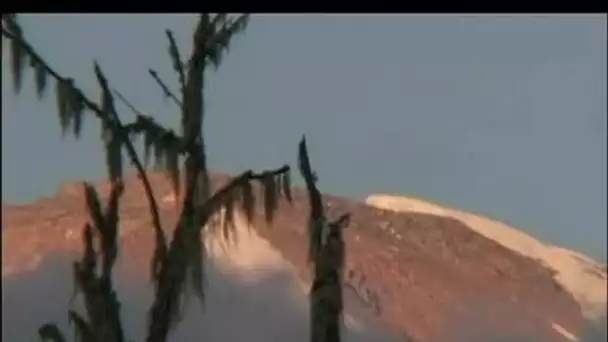 Brève : Kilimanjaro/fonte des neiges
