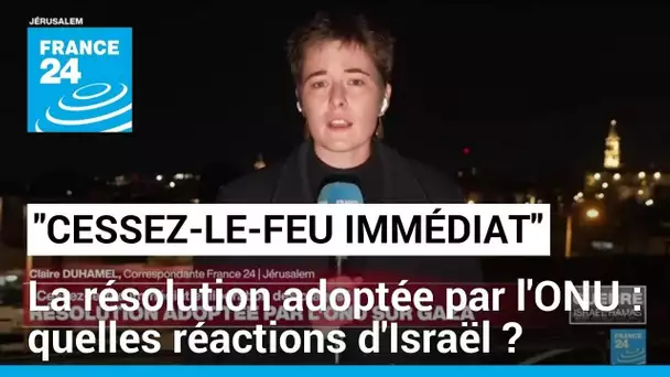 "Cessez-le feu immédiat" adopté par l'ONU : quelles réactions d'Israël ? • FRANCE 24
