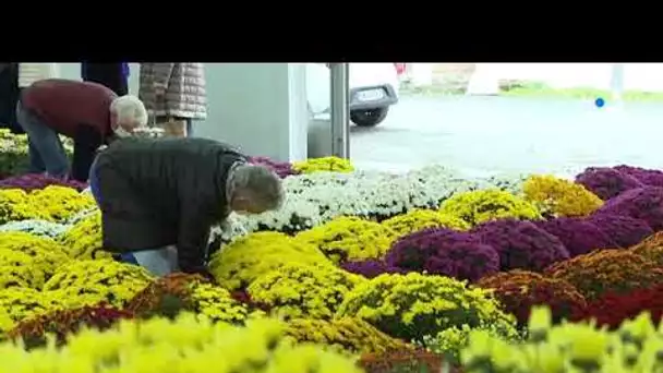 Toussaint: le marché aux chrysanthèmes de Pau est ouvert