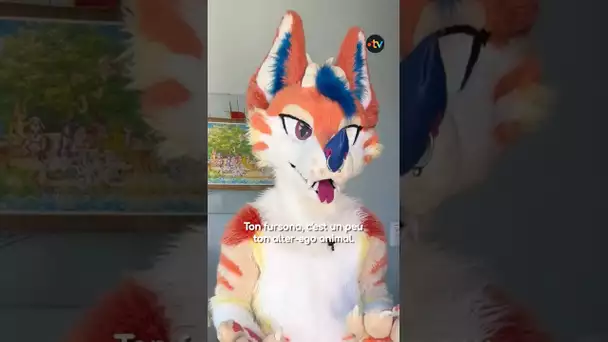 Furry, au-delà des clichés