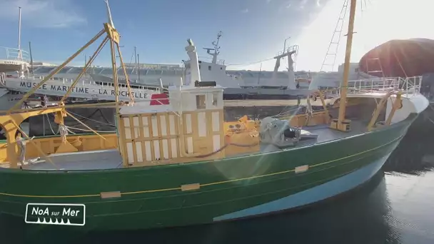 NoA sur Mer : la construction navale, une tradition en Nouvelle-Aquitaine
