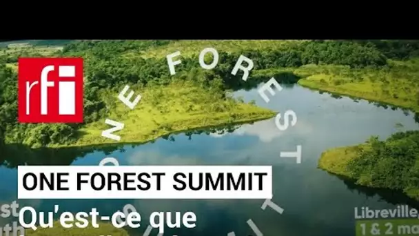One Forest Summit : qu'est-ce que le crédit carbone ? • RFI