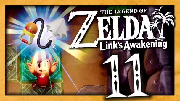 ZELDA LINK'S AWAKENING EPISODE 11 | ON A ENFIN LE GRAPIN ! NINTENDO SWITCH