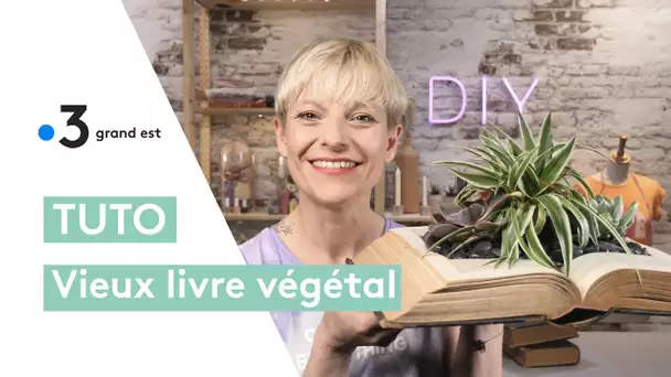 Tuto livre végétal : faire pousser une plante dans un vieux bouquin