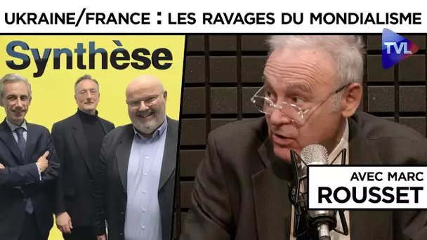 Ukraine/France : les ravages du mondialisme - Synthèse - TVL