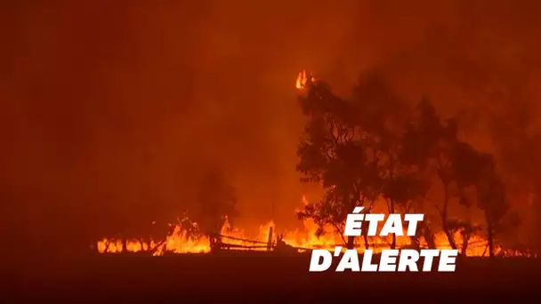 Les incendies en Australie gagnent Canberra, placée en état d'alerte