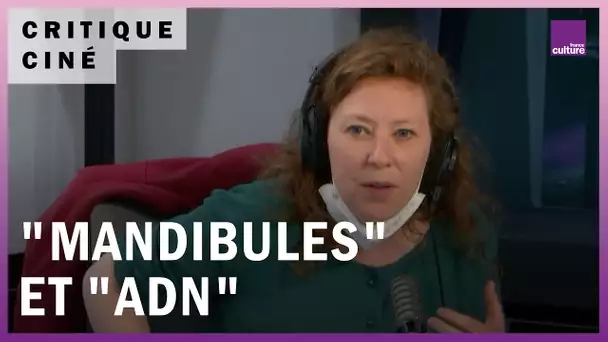 Cinéma : "Mandibules" de Quentin Dupieux et "ADN" de Maïwenn