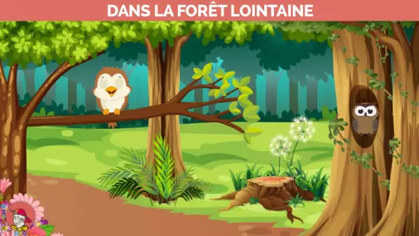 Le Monde d&#039;Hugo - Dans la forêt lointaine