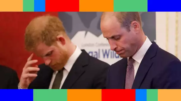 👑  Les Princes Harry et William : vont-ils assister à deux veillées séparées ?