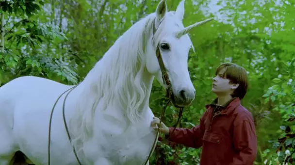 Nico la Licorne (Aventure, Famille) Film Complet en Français