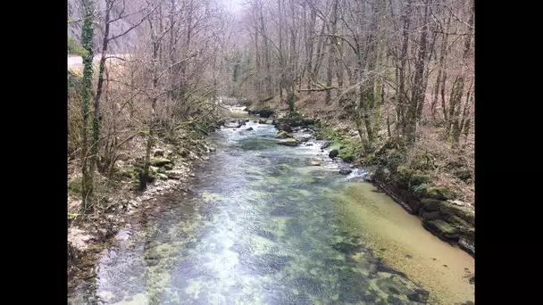 Au fil de l&#039;Albarine (Ain)