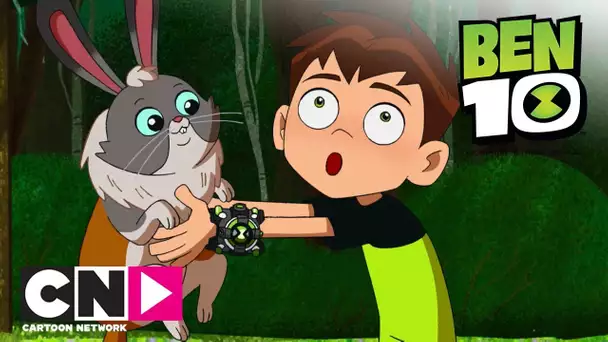 Le parc animalier | Ben 10 | Cartoon Network