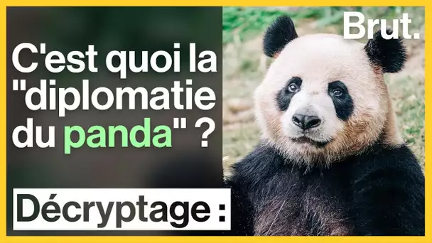 C'est quoi la "diplomatie du panda" ?