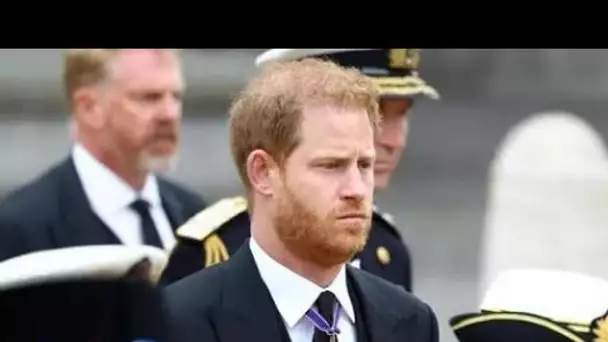 Le prince Harry aura un «enfer d'un combat» s'il veut abandonner son contrat de livre de 35 millions