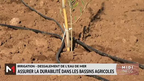 Irrigation - Dessalement de l’eau de mer: Assurer la durabilité dans les bassins agricoles