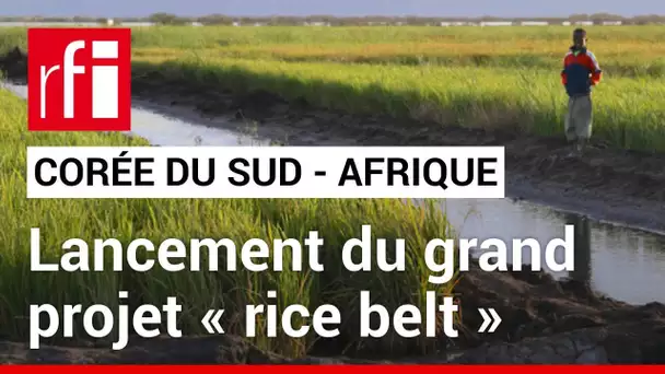 La Corée du Sud lance avec huit pays africains un énorme programme de développement agricole