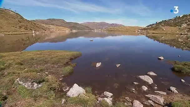 Pyrénées-Orientales : le tracé de la nouvelle frontière avec Andorre fait perdre 24 hectares