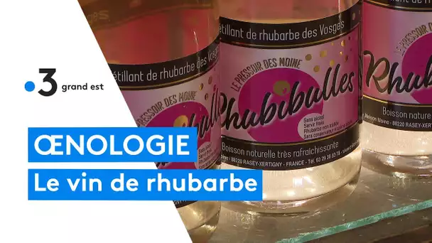 Connaissez-vous le vin de rhubarbe ?