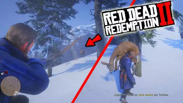 JE CHASSE UNE BICHE , UN OURS DÉBARQUE : RED DEAD REDEMPTION 2