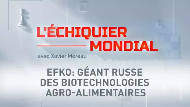 L'ECHIQUIER MONDIAL. EFKO: géant russe des biotechnologies agro-alimentaires