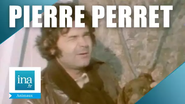 Pierre Perret à Nangis | Archive INA