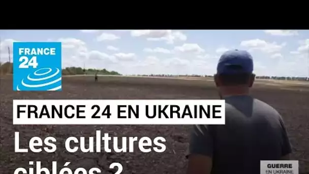 Crise céréalière : Kiev accuse Moscou de détruire délibérément les cultures • FRANCE 24