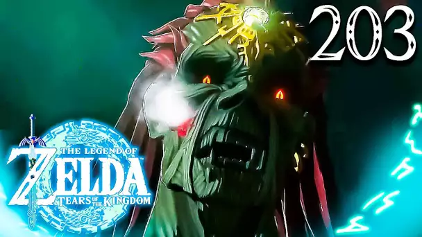 Zelda Tears of the Kingdom #203 : LA SUITE DU MEILLEUR LET'S PLAY !