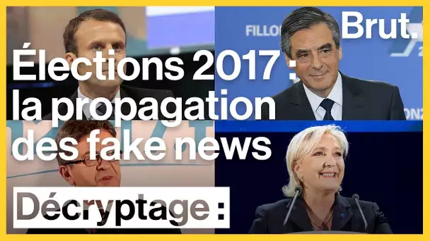 Les fake news pendant la campagne présidentielle française