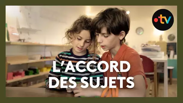 L'accord des sujets, immersion dans une classe Montessori