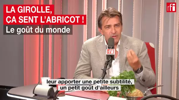 La girolle, ça sent bon l'abricot !