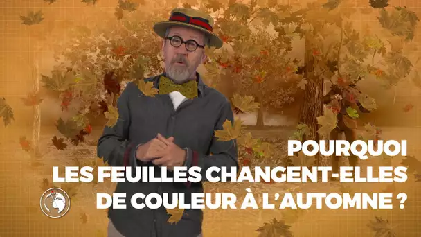 Pourquoi les feuilles changent-elles de couleur à l'automne ? 🍁 - #LaMinuteJamy