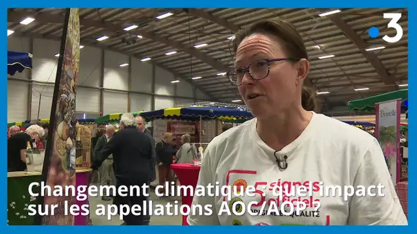 Changement climatique : quel impact sur les appellations AOC/AOP ?