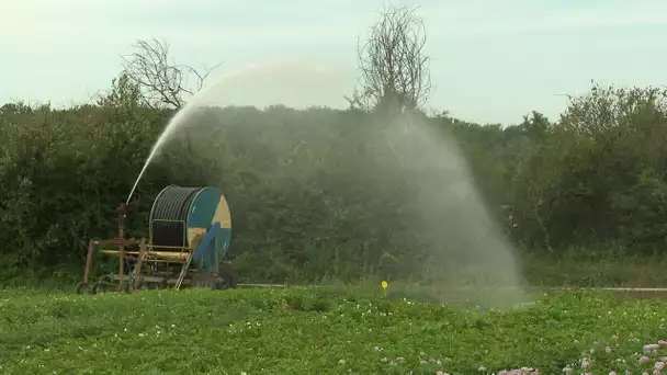 Série eau: des solutions pour moins consommer dans l'agriculture