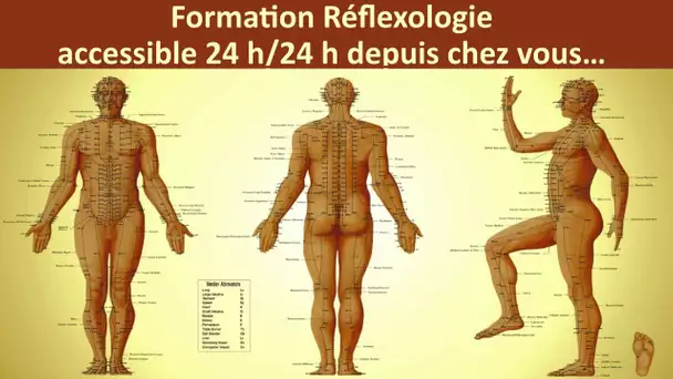 Formation Réflexologie - Apprendre la réflexologie - Comment devenir reflexologue