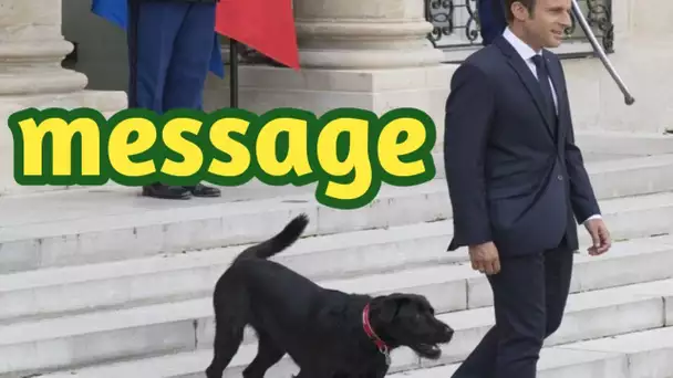 Emmanuel Macron : pour Noël, son chien Nemo « a un message pour vous »