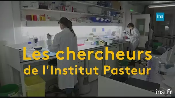 Institut Pasteur : 135 ans de découvertes scientifiques | Franceinfo INA