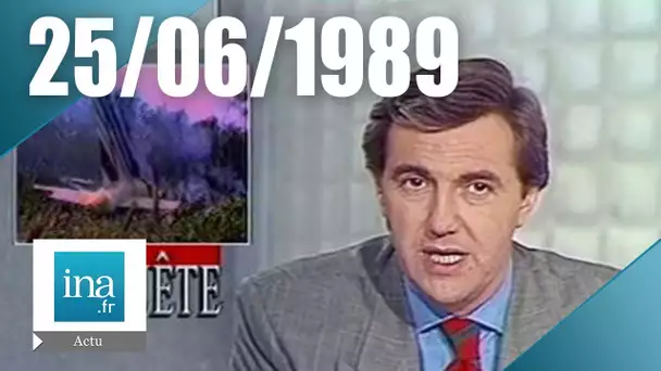 20h Antenne 2 du 25 juin 1989 | Enquête sur le crash aérien d'Habsheim | Archive INA