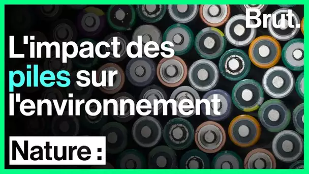 Les piles : quel impact sur l&#039;environnement ?