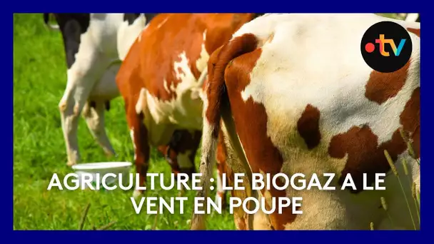 Agriculture : 200 fermes normandes équipées de méthaniseurs produisent du biogaz