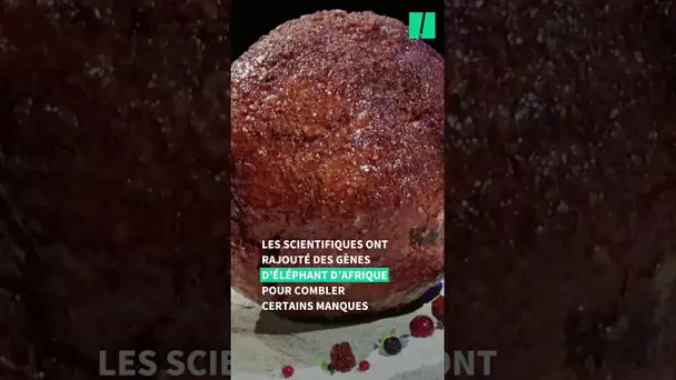 Une entreprise fabrique des boulettes de viande de mammouth