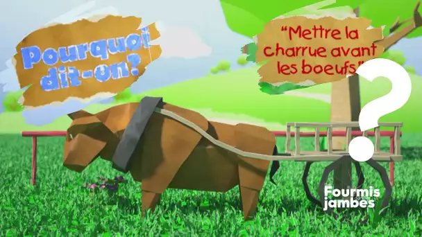 Pourquoi dit-on : mettre la charrue avant les bœufs ?