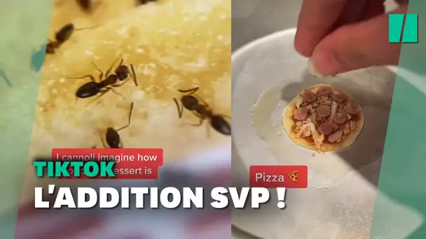 Des restaurants pour les fourmis ?