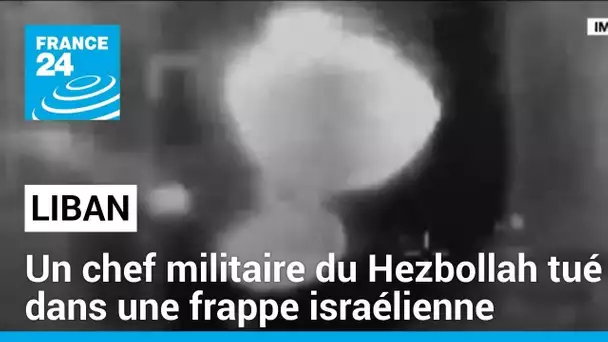 Liban : un chef militaire du Hezbollah tué dans une frappe israélienne • FRANCE 24