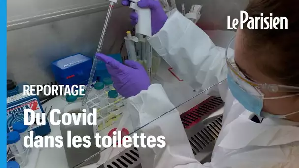 Ils traquent le virus dans les eaux usées de deux écoles, à la Garenne-Colombes