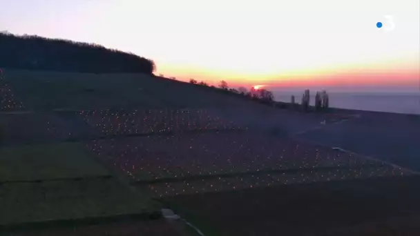 Sur la Côte de Beaune, des centaines de bougies allumées pour protéger la vigne
