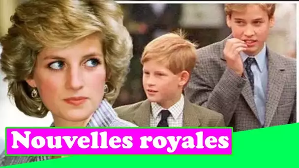 William et Harry "utilisés comme couverture" par la princesse Diana pour sa liaison avec James Hewit