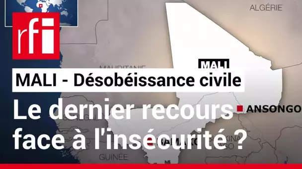 Mali: face à l'insécurité, le cercle d'Ansongo appelle à la désobéissance civile • RFI